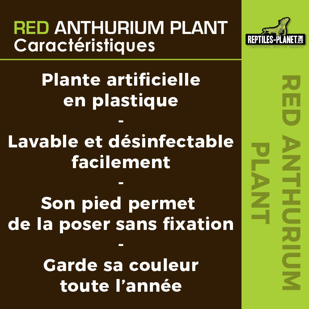 reptiles-planet-red-anthurium-33-cm-plante-artificielle-pour-terrarium-5