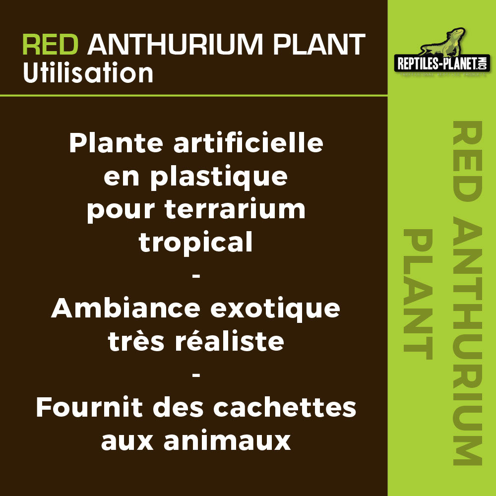 reptiles-planet-red-anthurium-33-cm-plante-artificielle-pour-terrarium-6