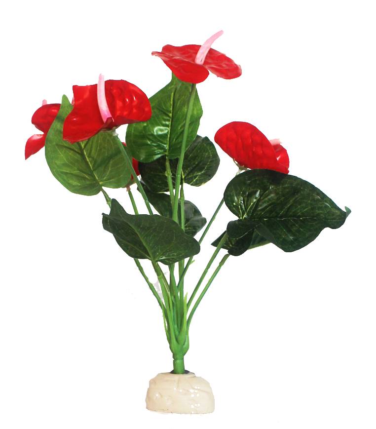 reptiles-planet-red-anthurium-33-cm-plante-artificielle-pour-terrarium