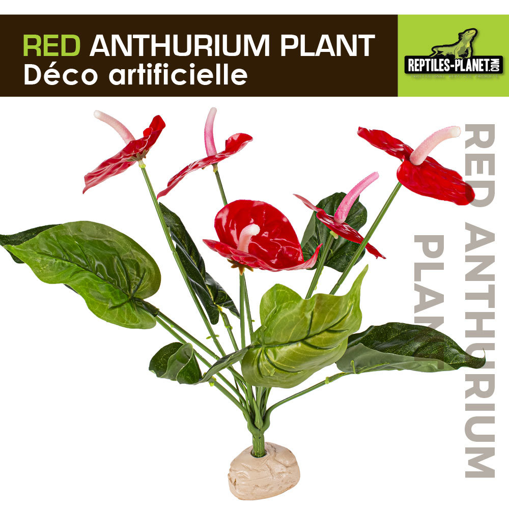 reptiles-planet-red-anthurium-33-cm-plante-artificielle-pour-terrarium-12