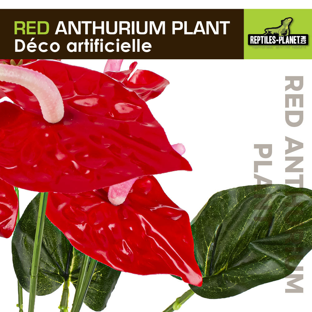 reptiles-planet-red-anthurium-33-cm-plante-artificielle-pour-terrarium-3