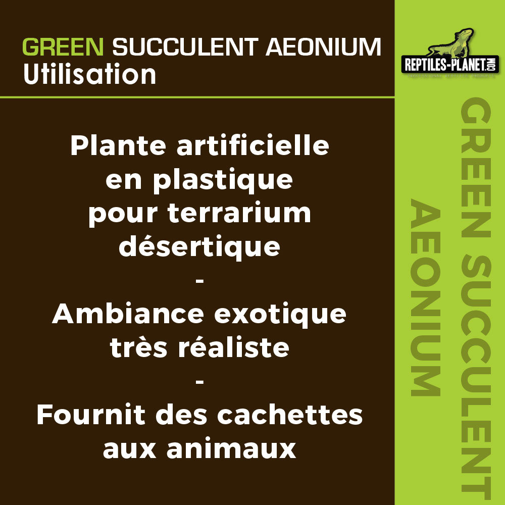 reptiles-planet-green-succulent-aeonium-11-cm-plante-artificielle-pour-terrarium-3