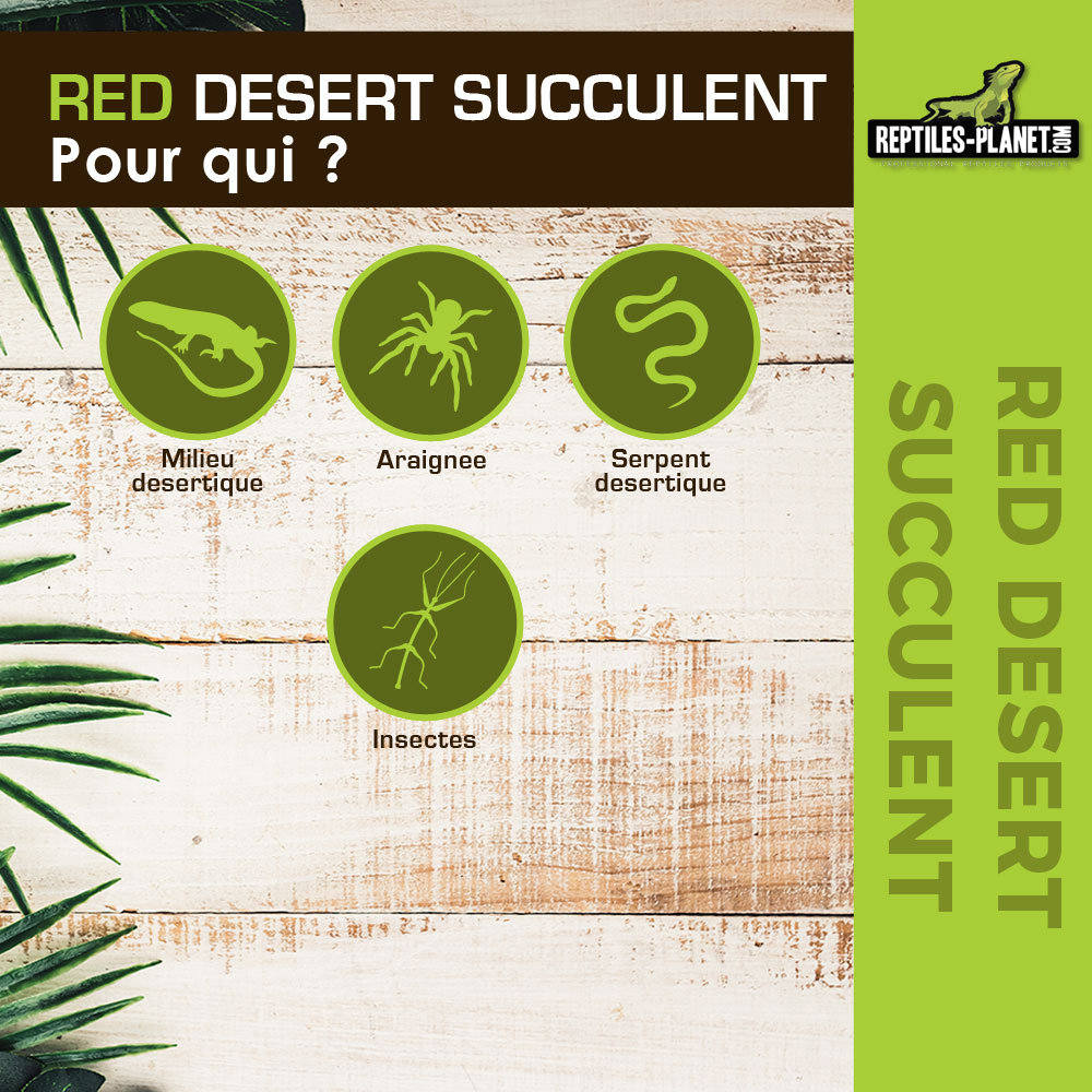reptiles-planet-red-desert-succulent-15-cm-plante-artificielle-pour-terrarium-2