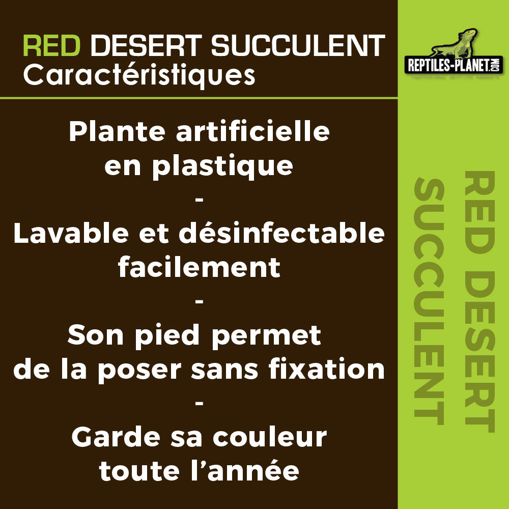 reptiles-planet-red-desert-succulent-15-cm-plante-artificielle-pour-terrarium-3
