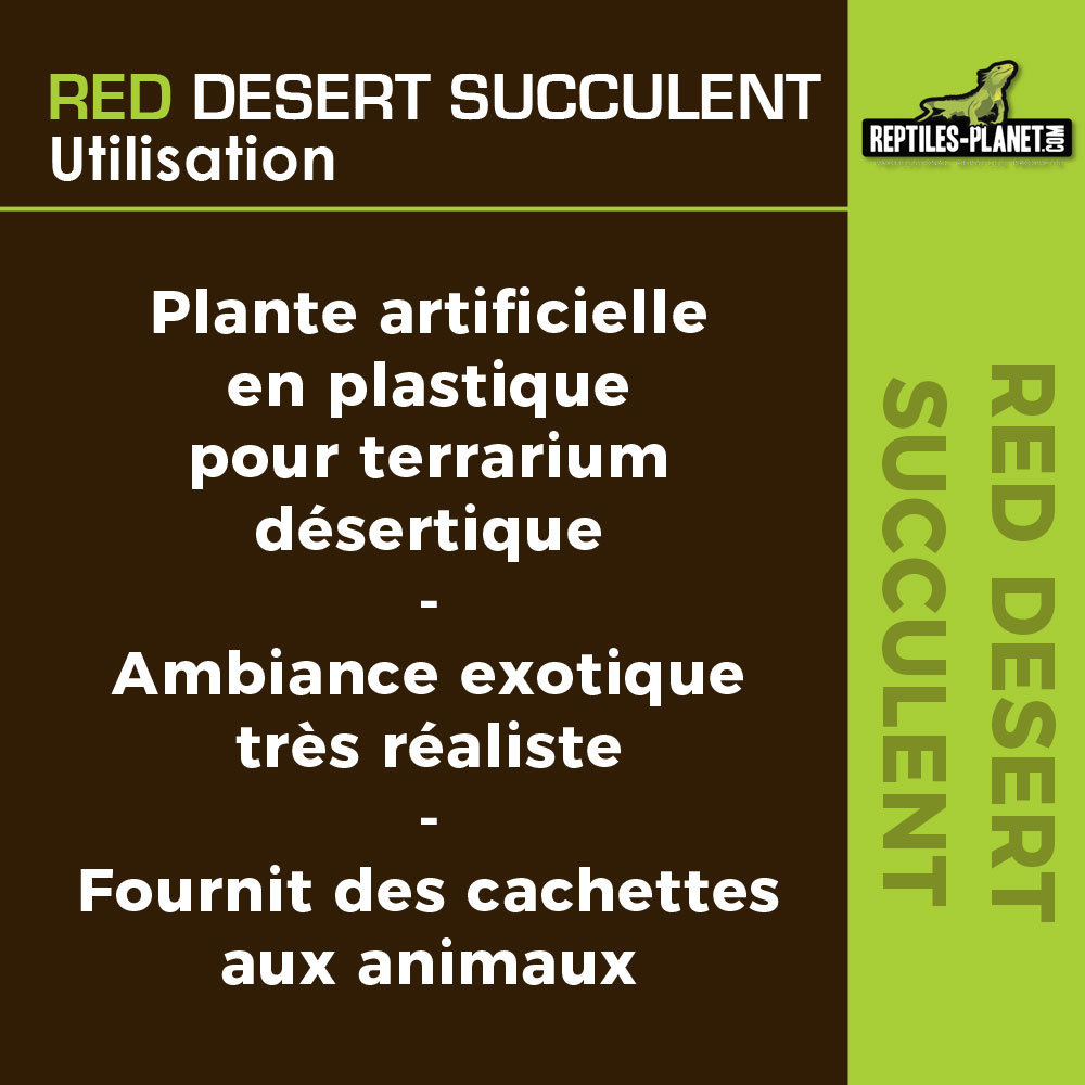 reptiles-planet-red-desert-succulent-15-cm-plante-artificielle-pour-terrarium-4