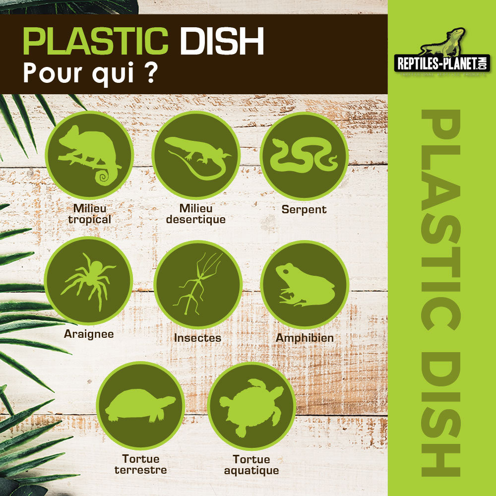 reptiles-planet-plastic-dish-black-m-9-8-x-7-5-x-2-8-cm-abreuvoir-terrarium-3