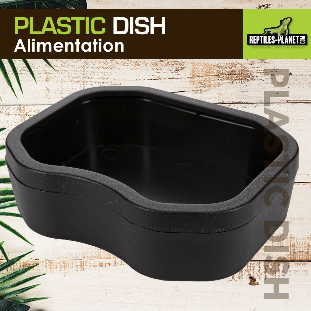 reptiles-planet-plastic-dish-black-m-9-8-x-7-5-x-2-8-cm-abreuvoir-terrarium-1