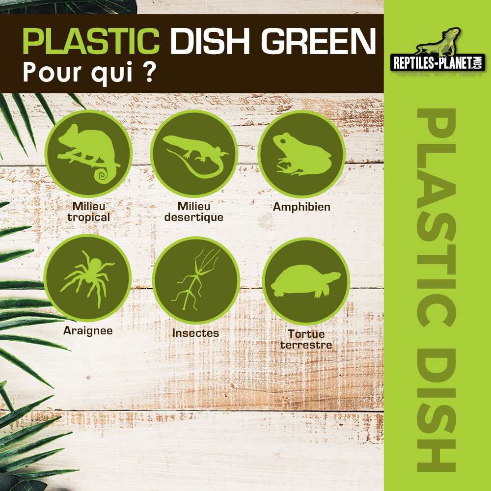 reptiles-planet-plastic-dish-green-m-10-x-5-x-1-1-cm-abreuvoir-terrarium-avec-reserve-de-250-ml-3