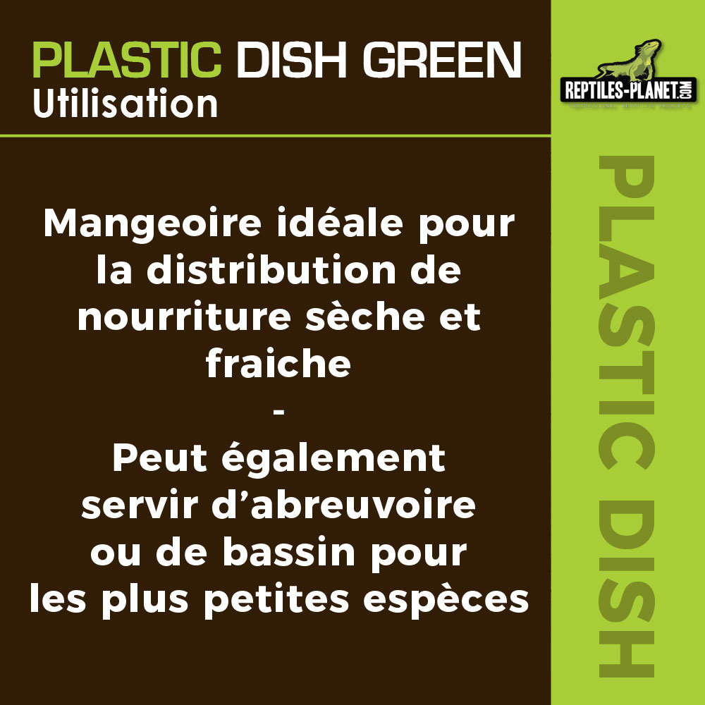 reptiles-planet-plastic-dish-green-l-15-x-7-5-x-1-4-cm-abreuvoir-terrarium-6