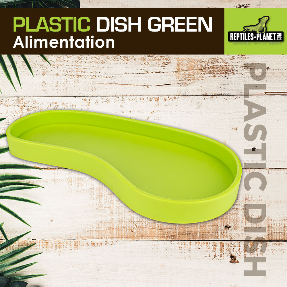 reptiles-planet-plastic-dish-green-l-15-x-7-5-x-1-4-cm-abreuvoir-terrarium-3