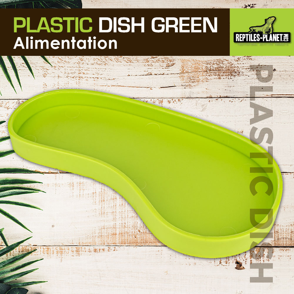 reptiles-planet-plastic-dish-green-l-15-x-7-5-x-1-4-cm-abreuvoir-terrarium-1