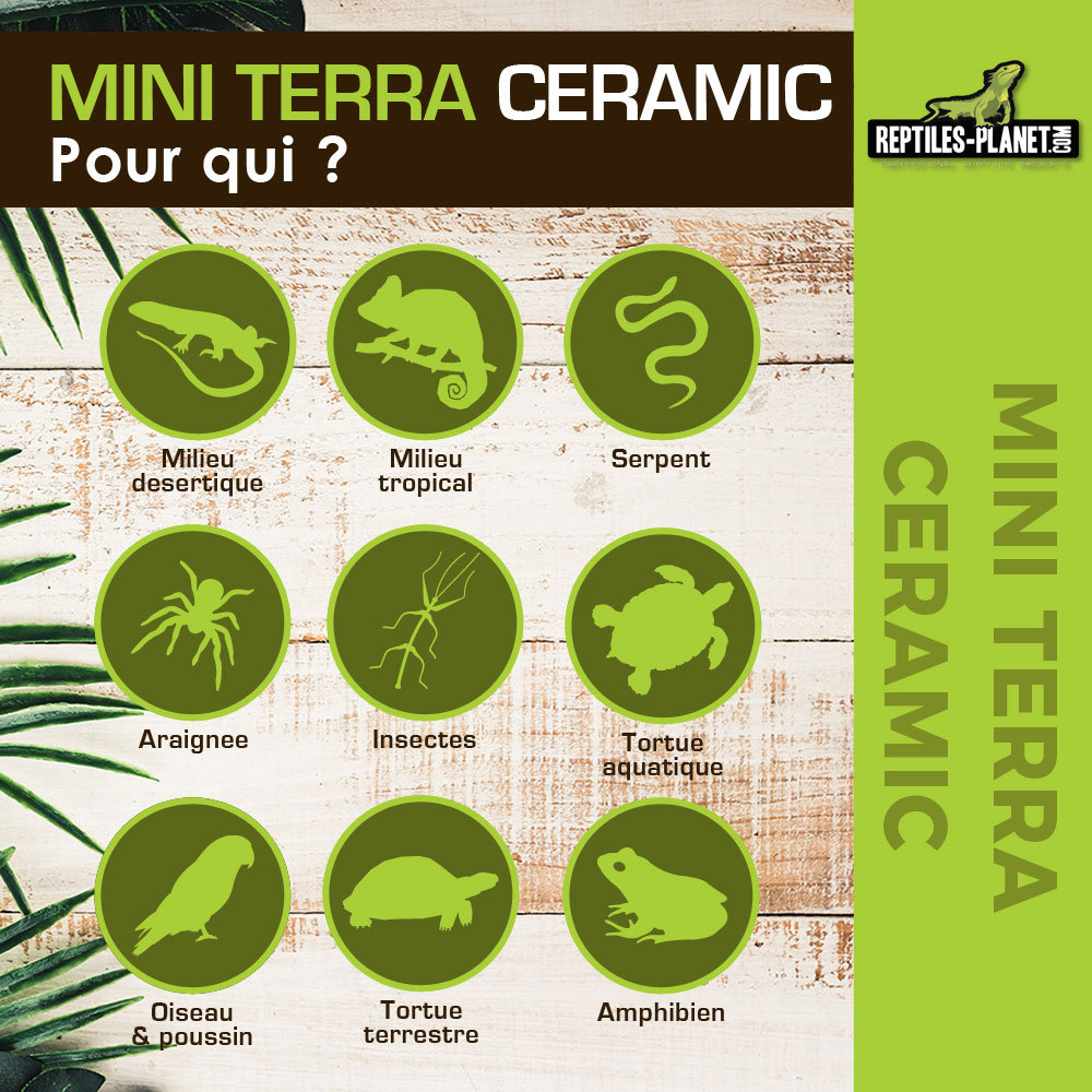 reptiles-planet-mini-terra-ceramic-20w-spot-chauffant-ceramique-avec-culot-e27-3