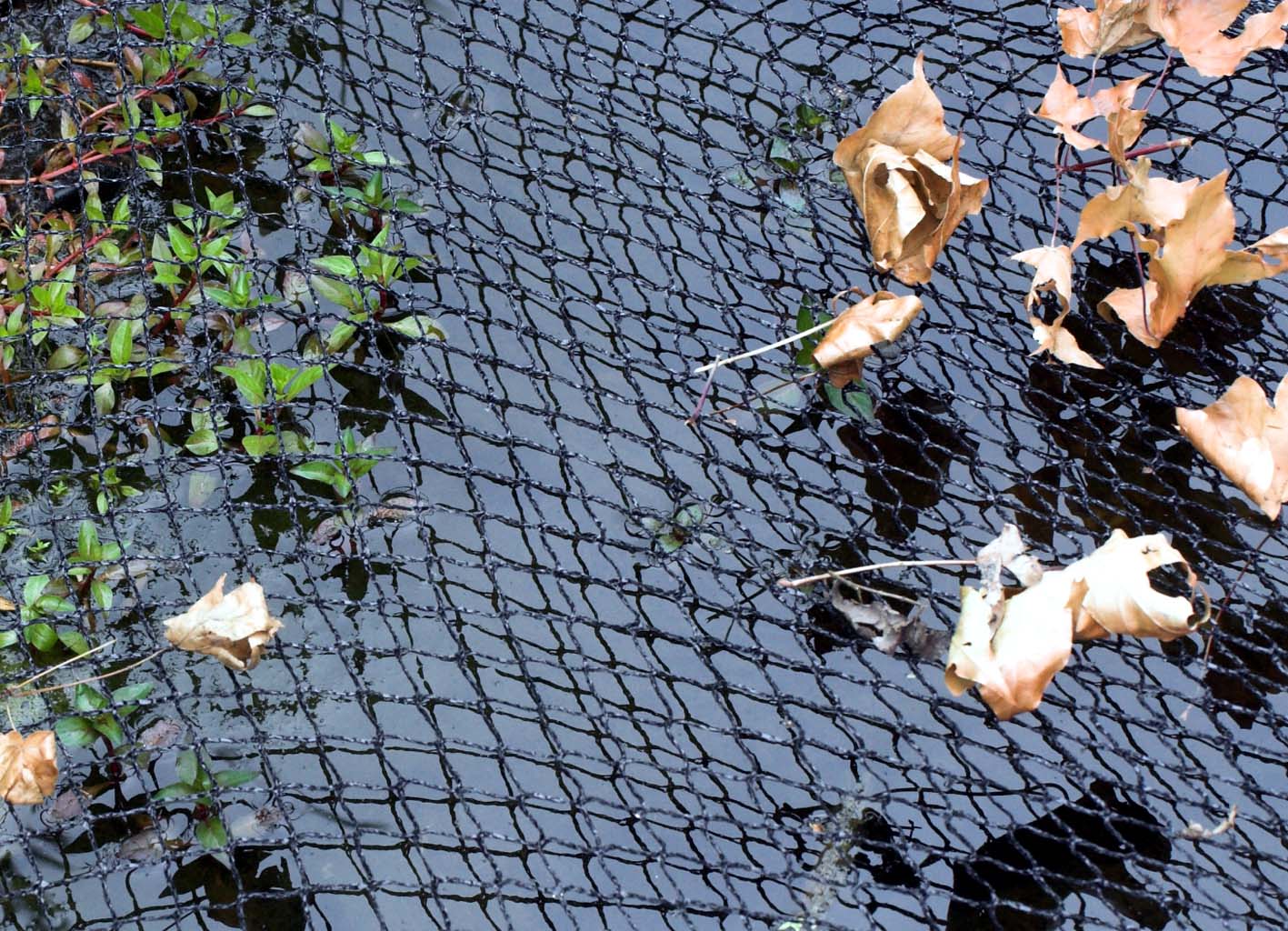 velda-cover-net-filet-de-protection-pour-bassin-contre-les-feuilles-herons-et-autres-predateurs-3
