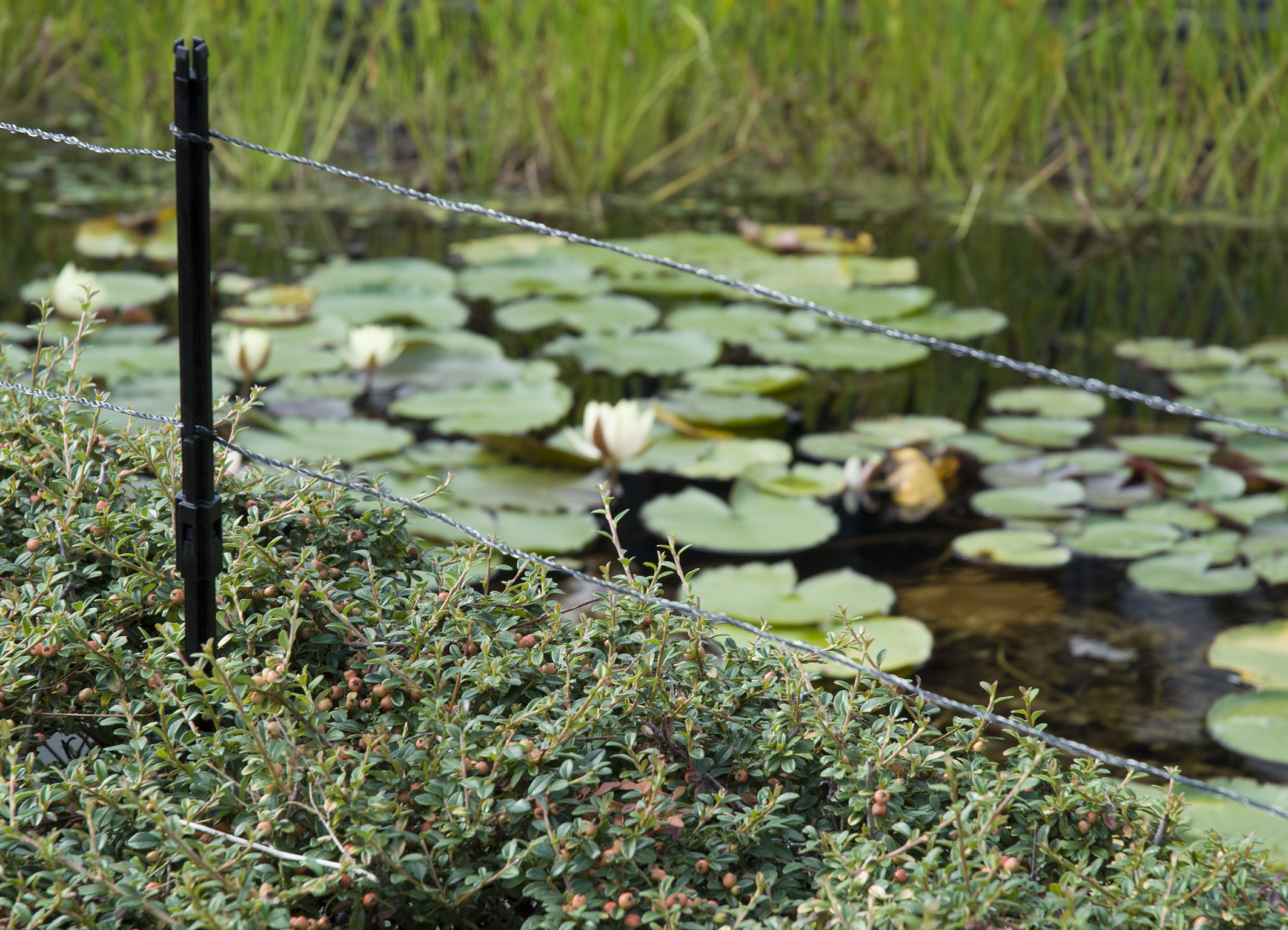 velda-ultra-protector-cloture-electrique-100-m-pour-proteger-les-bassins-des-herons-cormorans-et-autres-animaux-indesirables-9