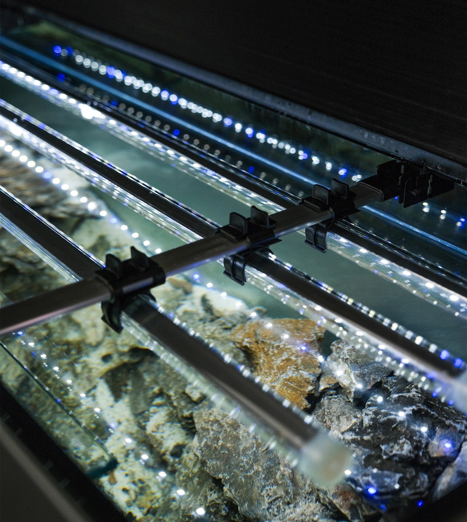 aquael-glossy-led-2-0-gris-laque-aquarium-et-eclairage-leds-7-min