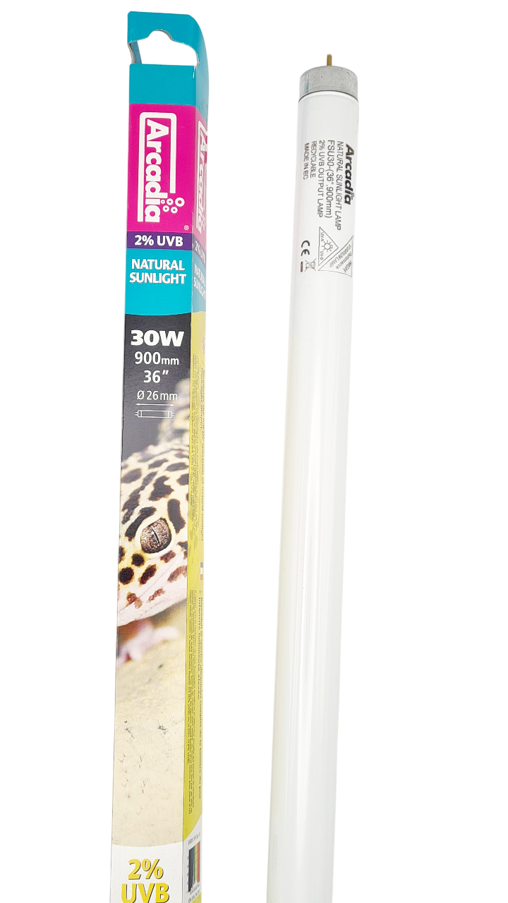 ARCADIA Natural Sunlight UVB 2% T8 30W 90 cm tube néon 5600K pour vivarium et terrarium