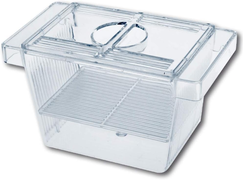 AMTRA Breeding Box Small pondoir 3 en 1 idéal pour poissons vivipares comme les Guppy et pour isoler les alevins