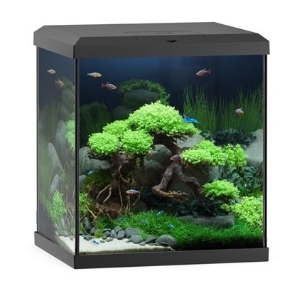 JUWEL Vio Cube 54 Noir nano-aquarium équipé 54 L 41 x 36 x 47 cm avec éclairage LEDs