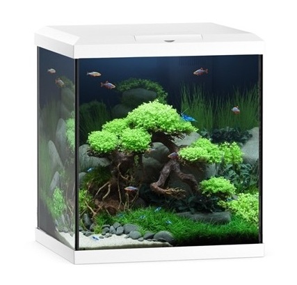 JUWEL Vio Cube 54 Blanc nano-aquarium équipé 54 L 41 x 36 x 47 cm avec éclairage LEDs