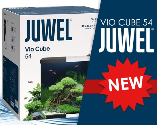 juwel-NEWS-25