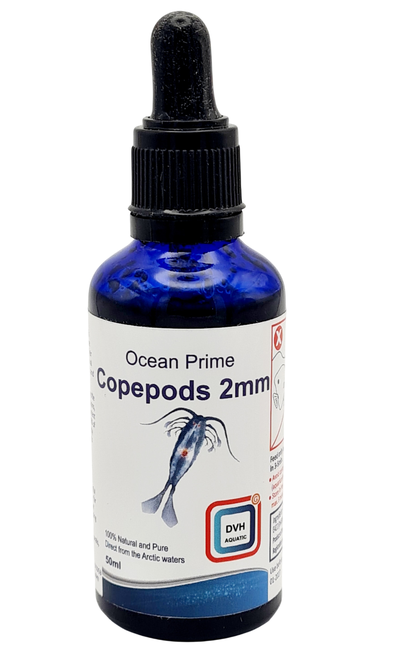 DVH Ocean Prime Copepods 2 mm Liquide 50 ml copépodes pour poissons d’eau douce, d’eau de mer et coraux