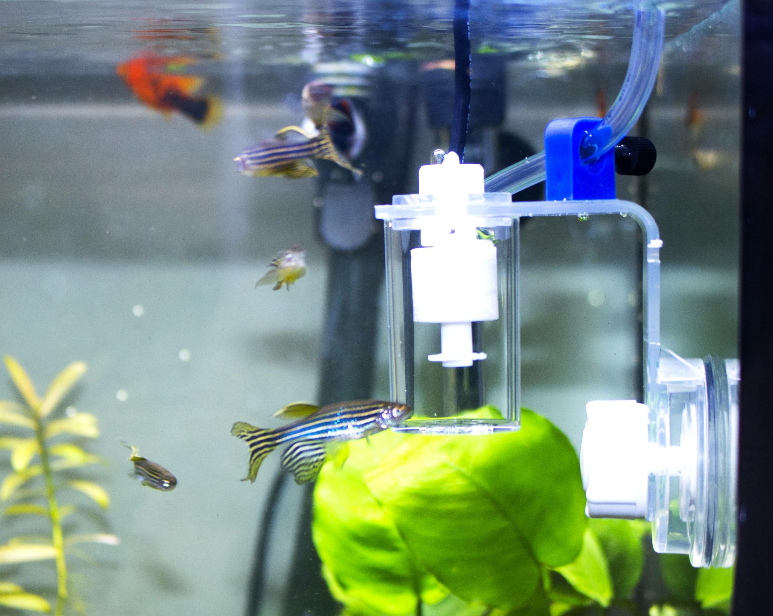 aquavie-micro-level-sensor-easy-v2-osmolateur-pour-la-remise-a-niveau-de-l-eau-dans-l-aquarium-3
