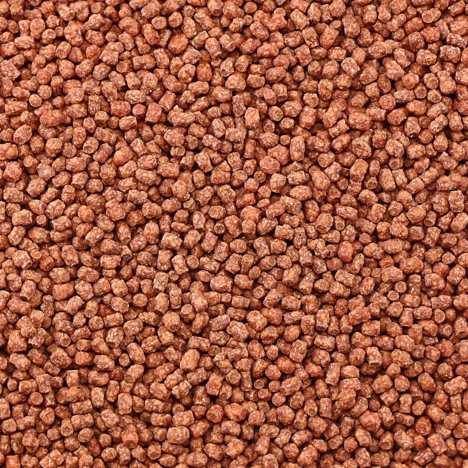 ocean-nutrition-baby-turtle-pellets-60-gr-nourriture-en-granules-flottants-pour-jeunes-tortues-aquatiques-1