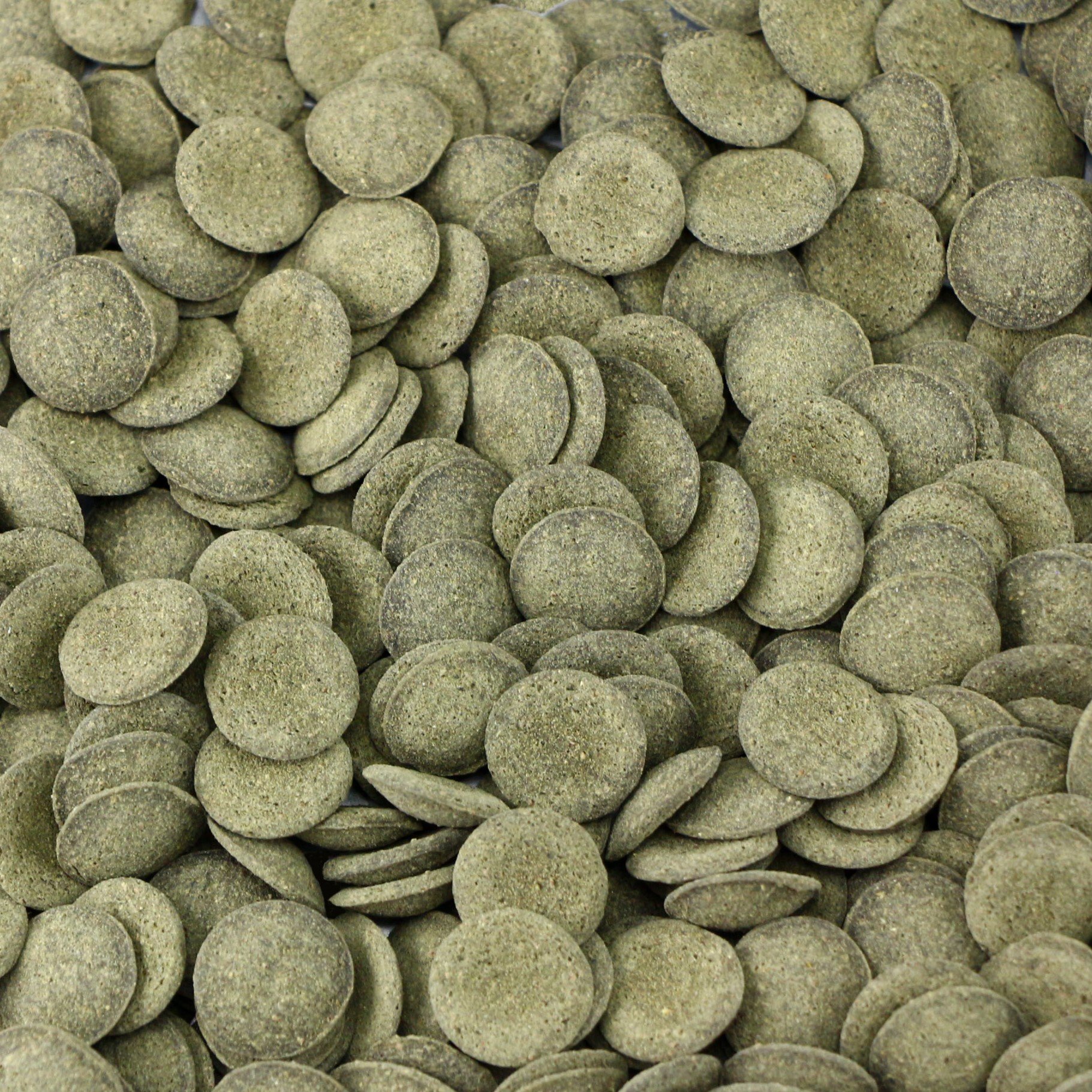 ocean-nutrition-algae-wafers-75-gr-nourriture-en-pastilles-de-13-mm-pour-poissons-herbivores-de-fond-1