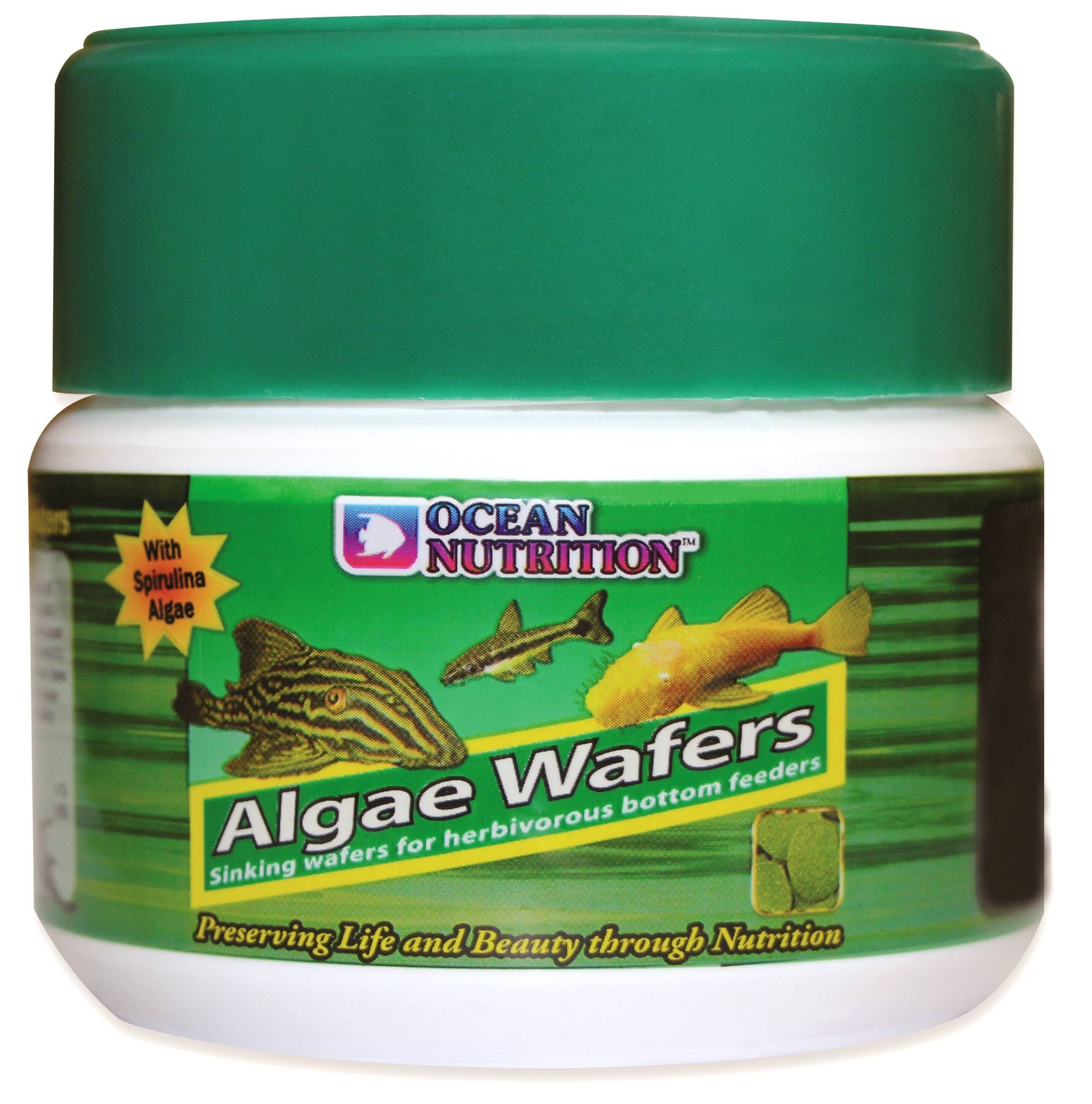 OCEAN NUTRITION Algae Wafers 75 gr nourriture en pastilles de 13 mm pour poissons herbivores de fond