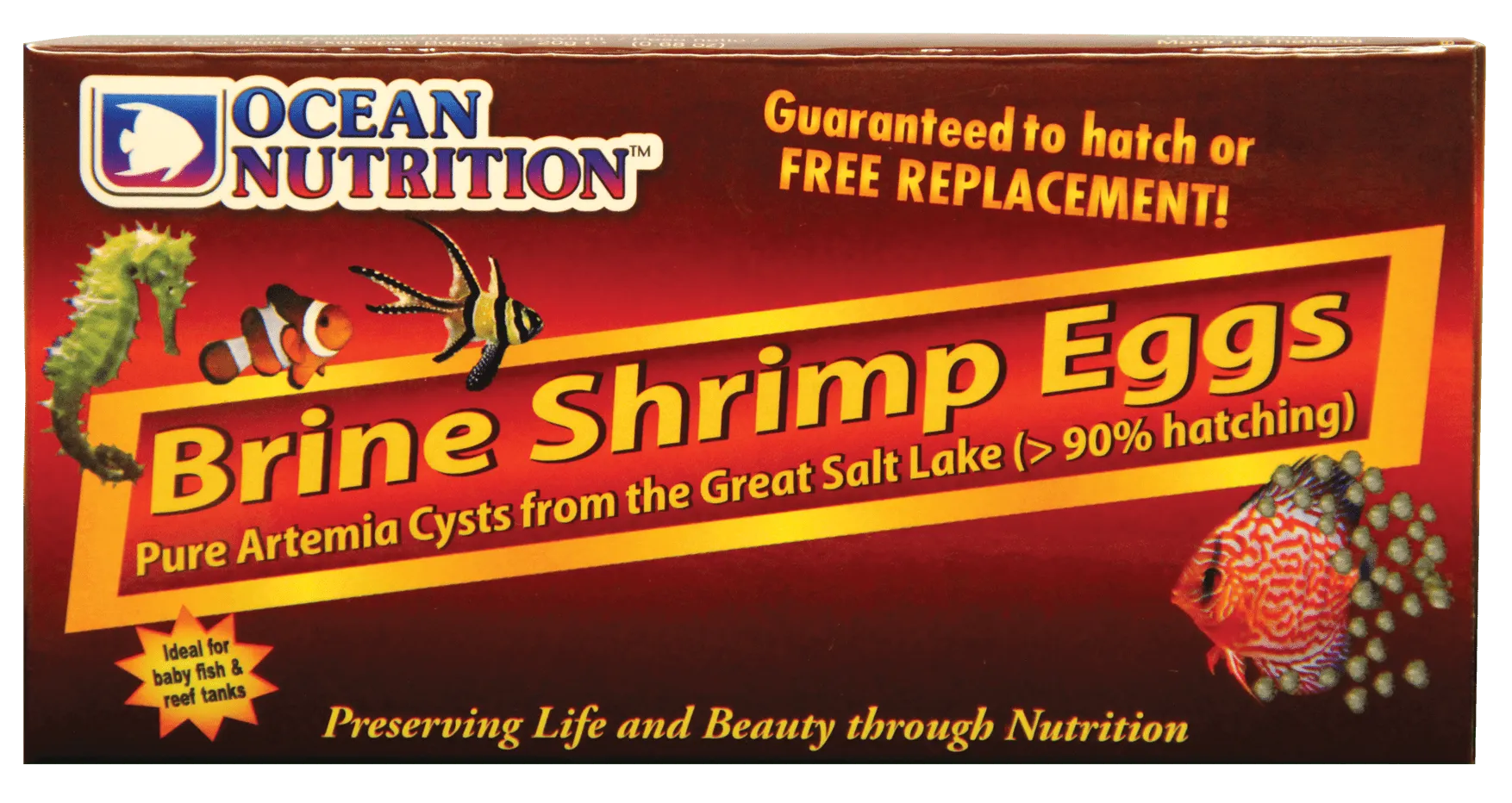 OCEAN NUTRITION Brine Shrimp Eggs 50 gr oeufs d\'Artemia haute qualité et faciles à cultiver