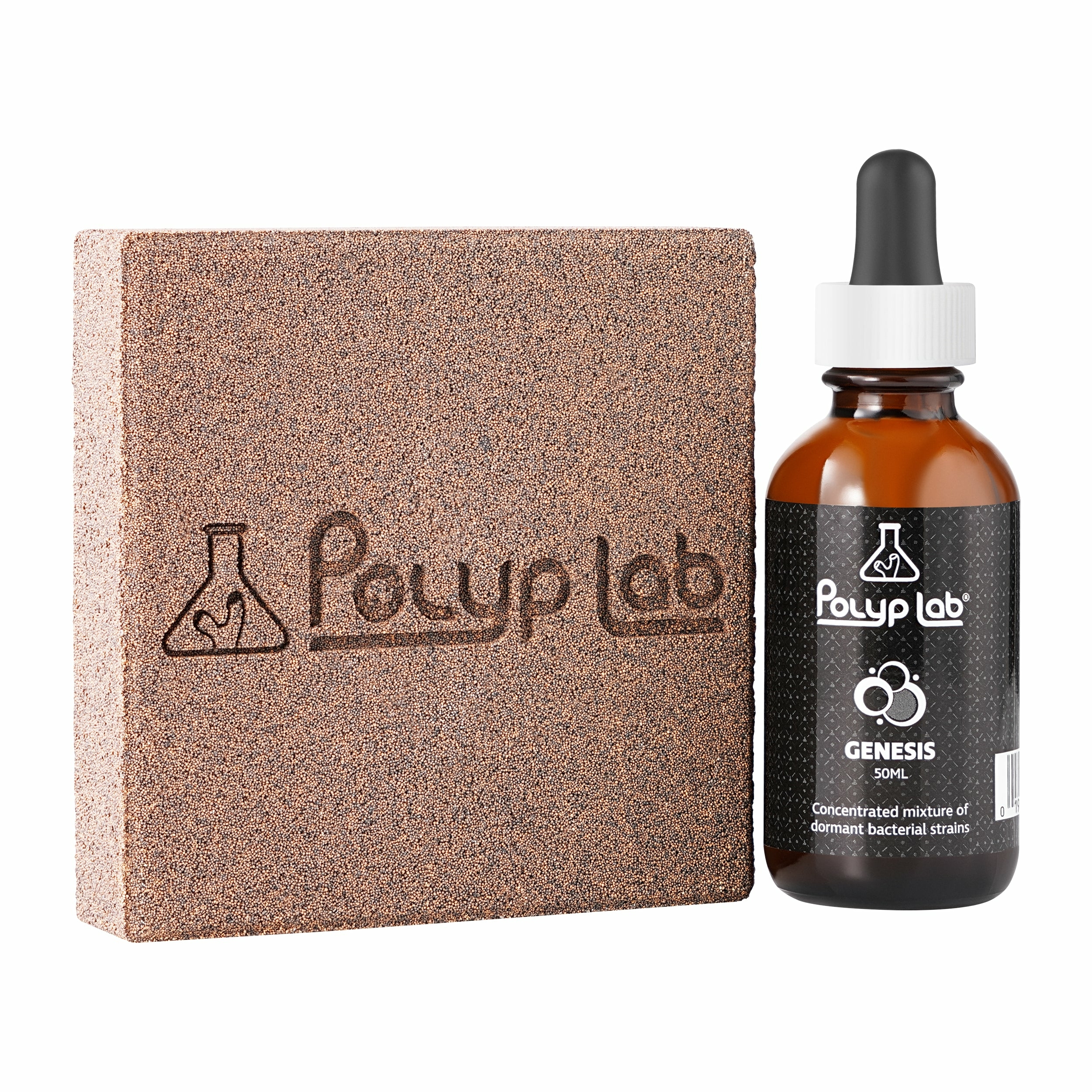 polyplab-genesis-rock-booster-lot-de-2-roches-de-filtration-biologique-100-ceramique-haute-porosite-livre-avec-bacteries-2