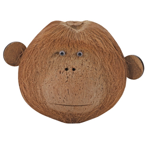 hobby-coco-monkey-2-decoration-cachette-pour-animaux-de-terrarium