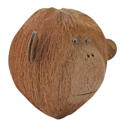 hobby-coco-monkey-2-decoration-cachette-pour-animaux-de-terrarium-1