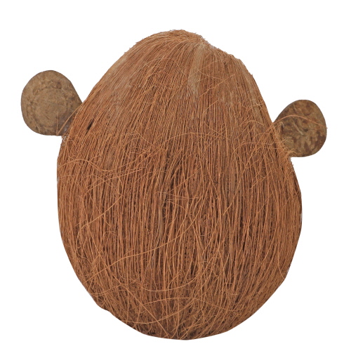 hobby-coco-monkey-1-decoration-cachette-pour-animaux-de-terrarium-4
