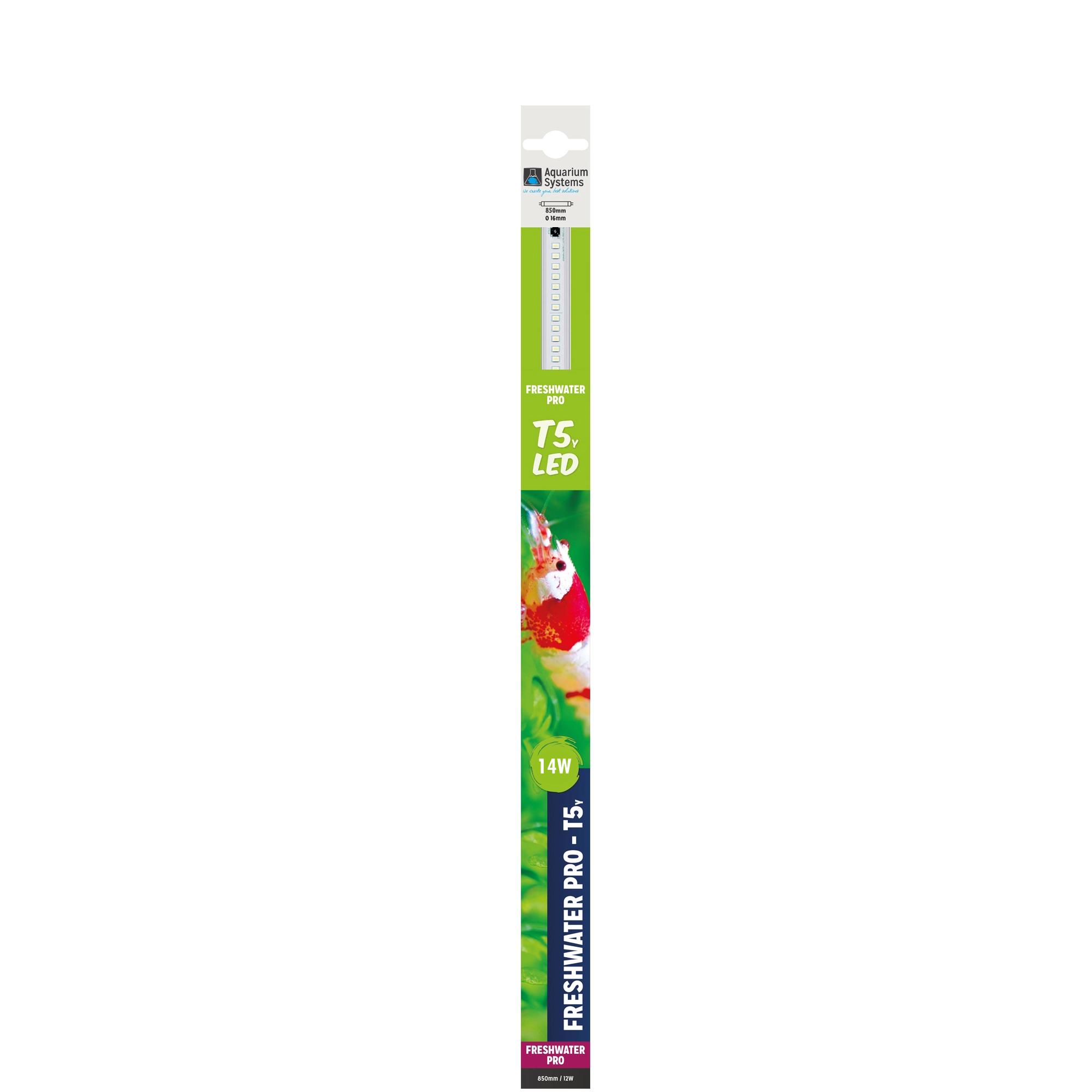 AQUARIUM SYSTEMS T5 LED FreshWater Pro 8000K 89,5 cm 14W tube pour aquarium d\'eau douce