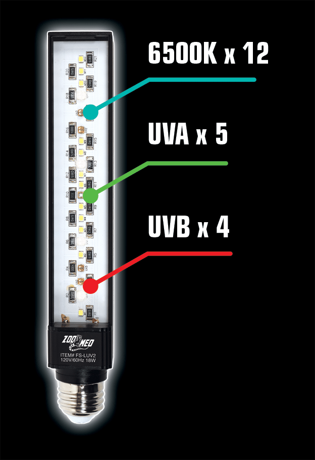 FS-LUV2_Lamp-LEDs