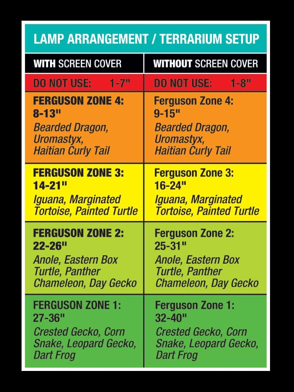 FS-LUV-TerrariumSetupChart-Web