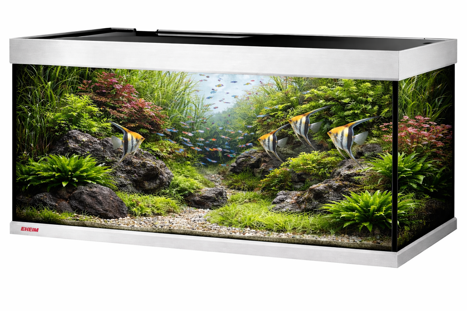 EHEIM ProximaTEC 325 ClassicLED aquarium équipé 130 x 50 x 50 cm 325 L avec éclairage LED, filtre externe et chauffage