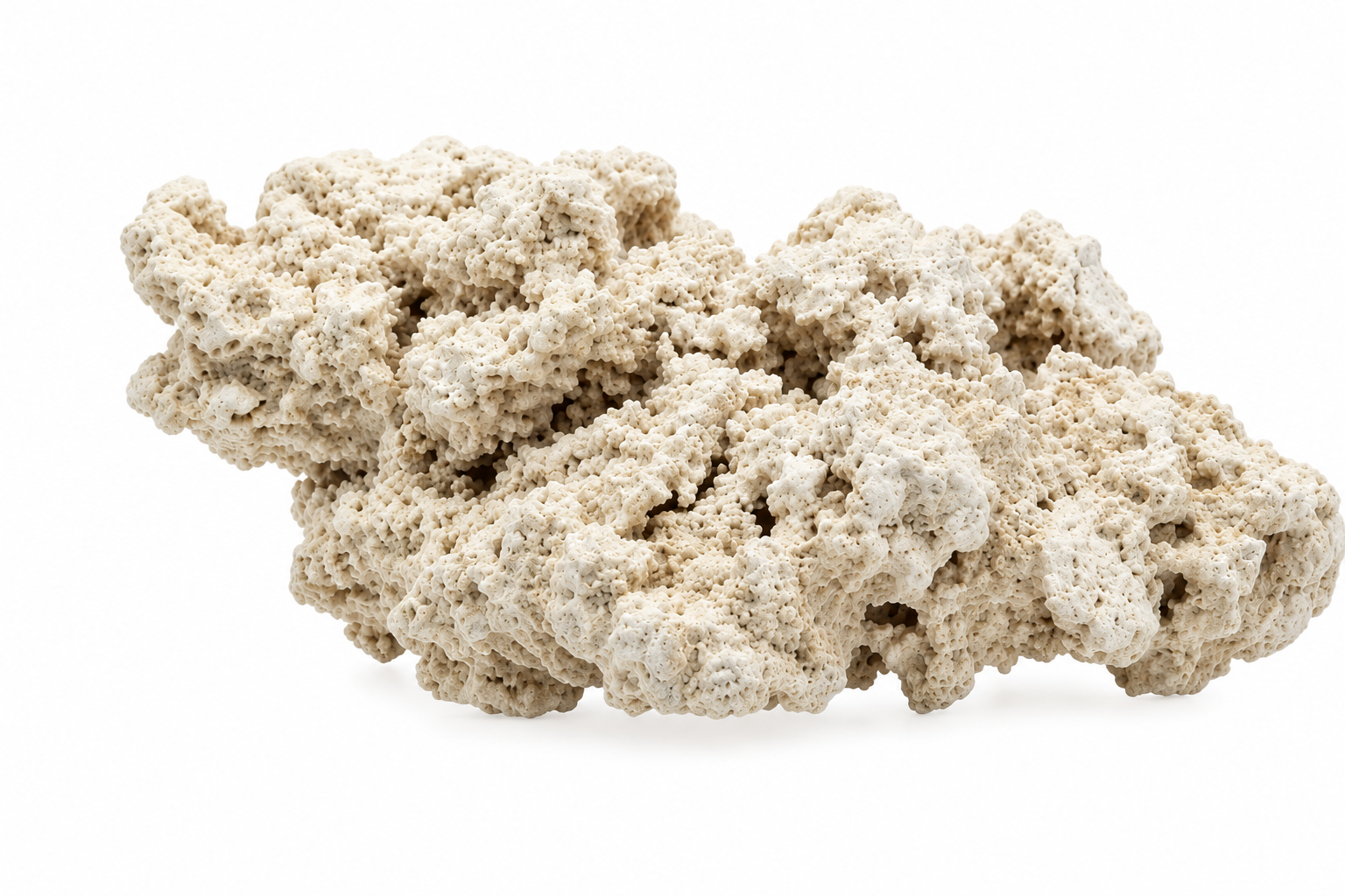 scalare-roche-seche-1-kg-en-sable-coquiller-naturel-ideale-pour-aquarium-recifal