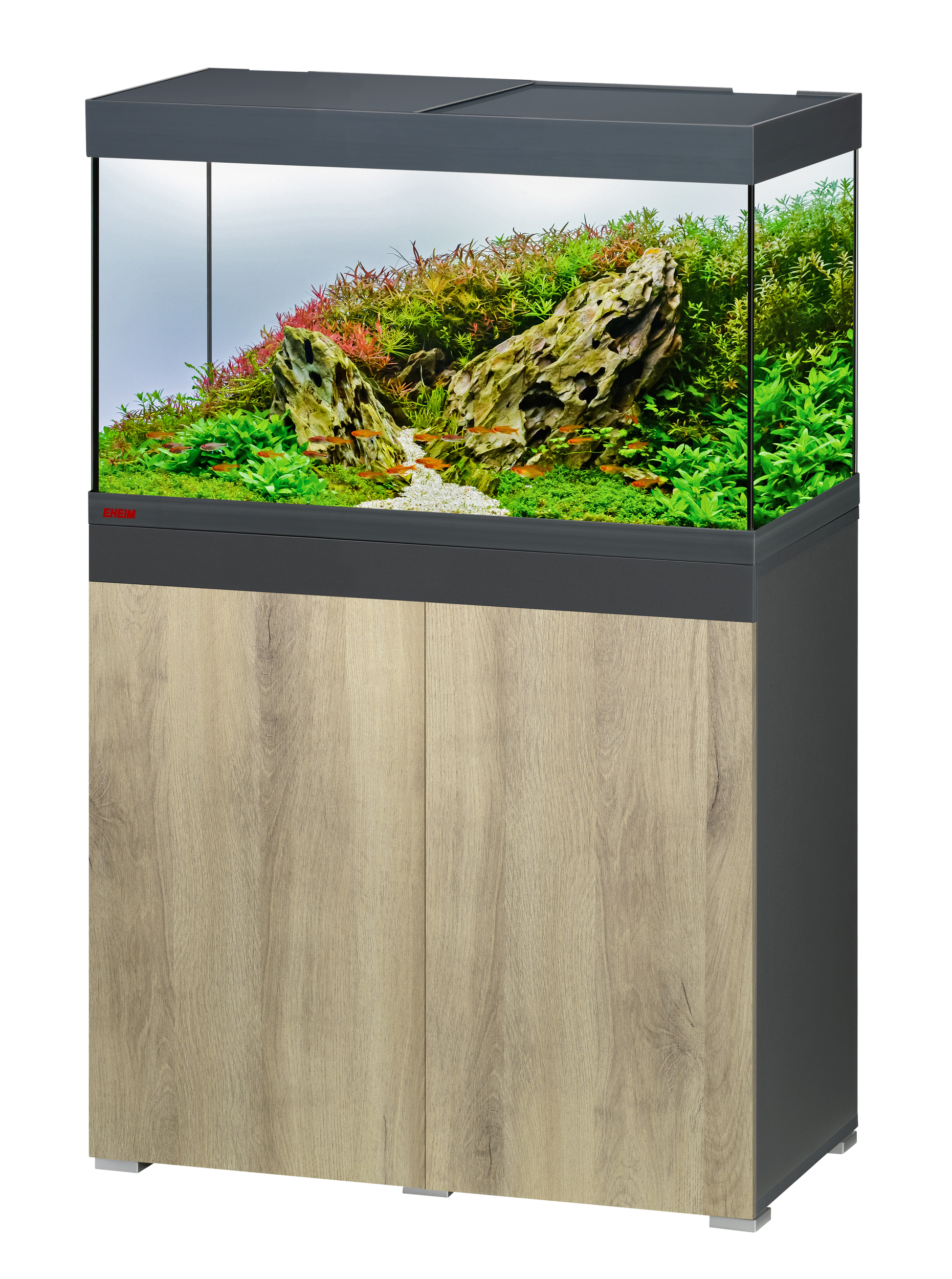 EHEIM Vivaline LED 144 L Anthracite/Wood aquarium équipé 80 x 40 x 45 cm avec meuble et éclairage LEDs