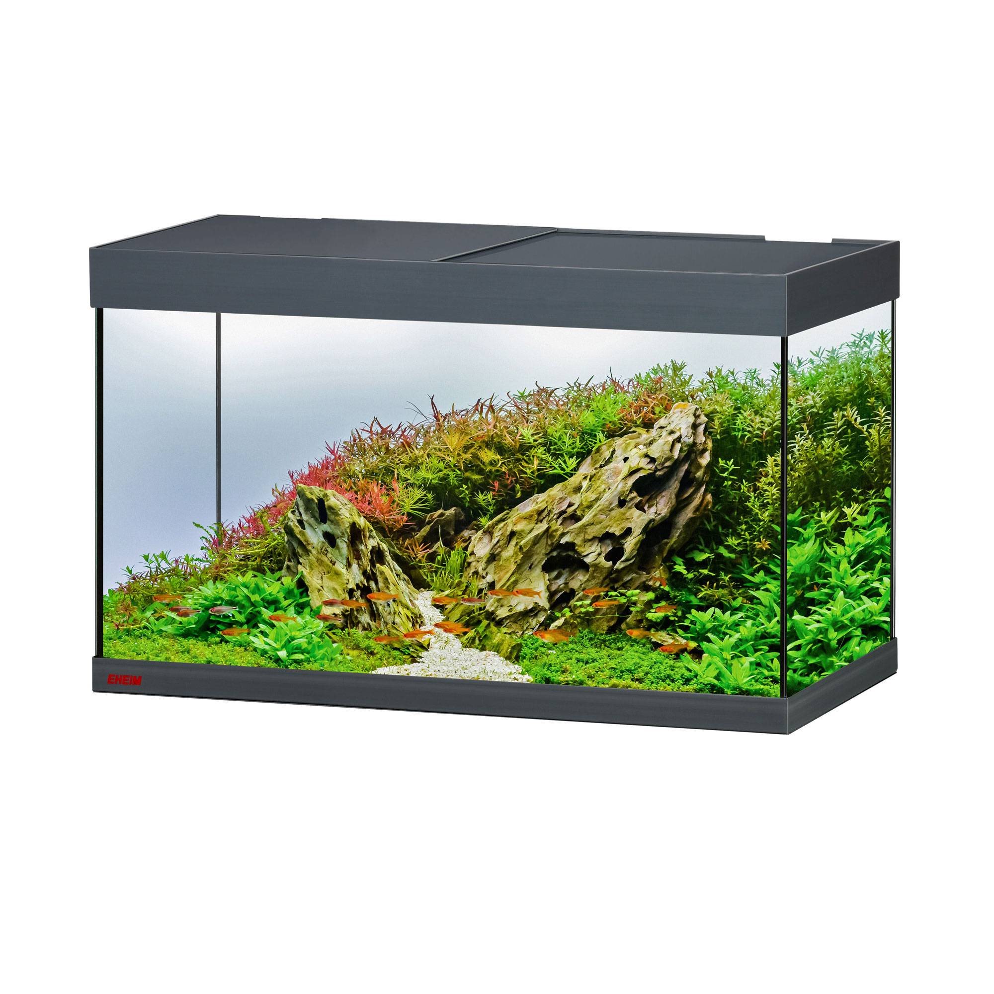 EHEIM Vivaline LED 144 L Anthracite aquarium équipé 80 x 40 x 45 cm avec éclairage LEDs