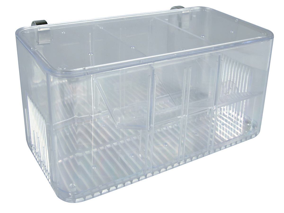 zolux-pondoir-5-en-1-speciale-poissons-vivipares-1