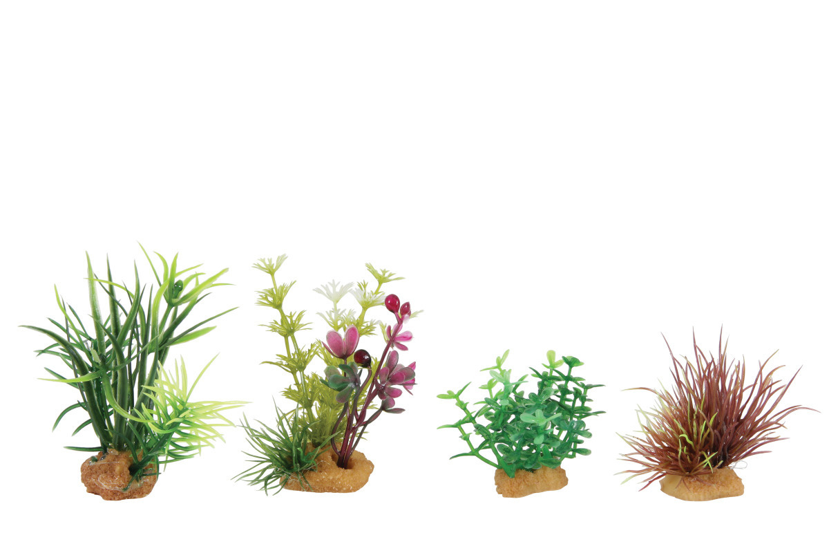 zolux-plantkit-mini-4-lot-de-4-plantes-artificielles-pour-aquarium-1