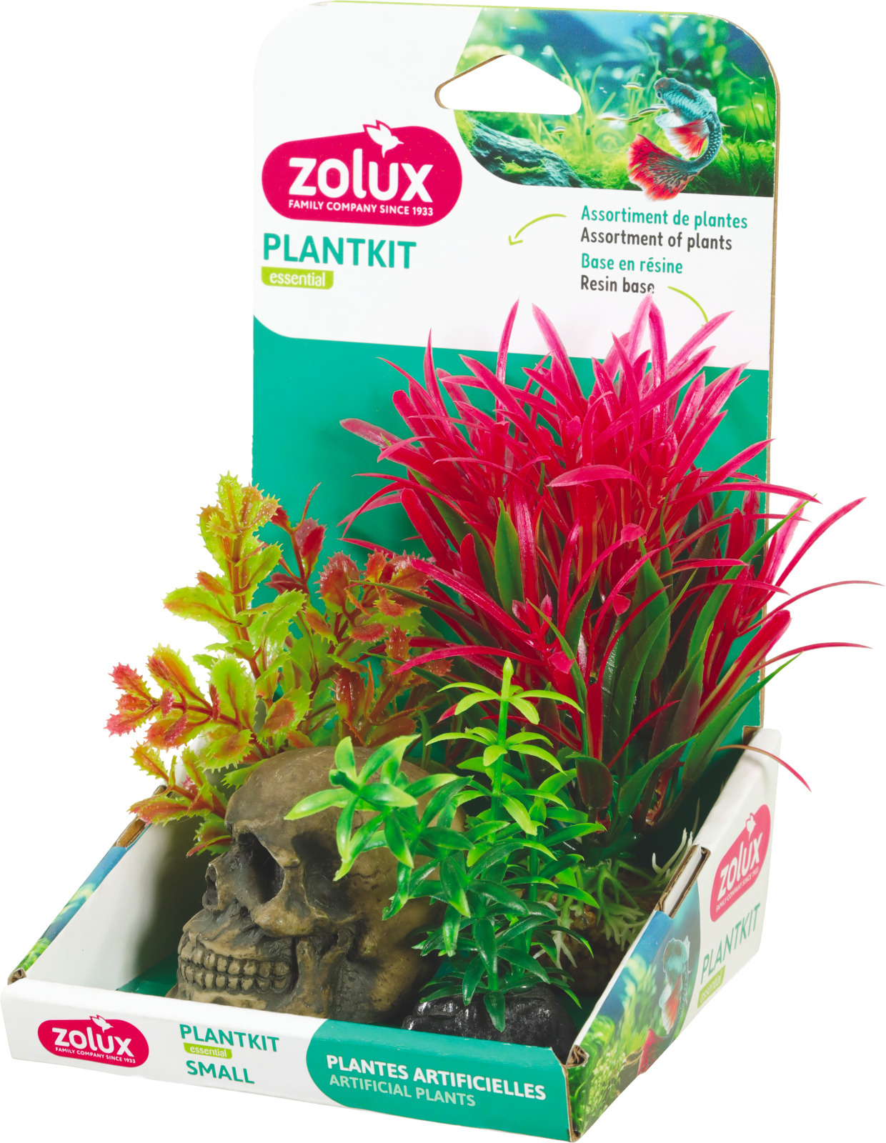 ZOLUX PlantKit Decor S Tête de Mort kit de décoration avec plantes artificielles