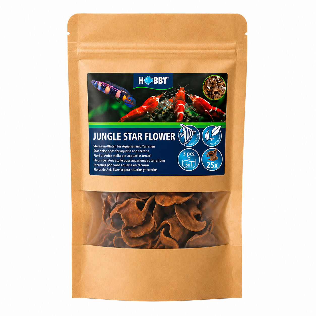 HOBBY Jungle Star Flowers lot de 25 gousses séchées de l\'arbre tropical Sterculia pour aquarium d\'eau douce