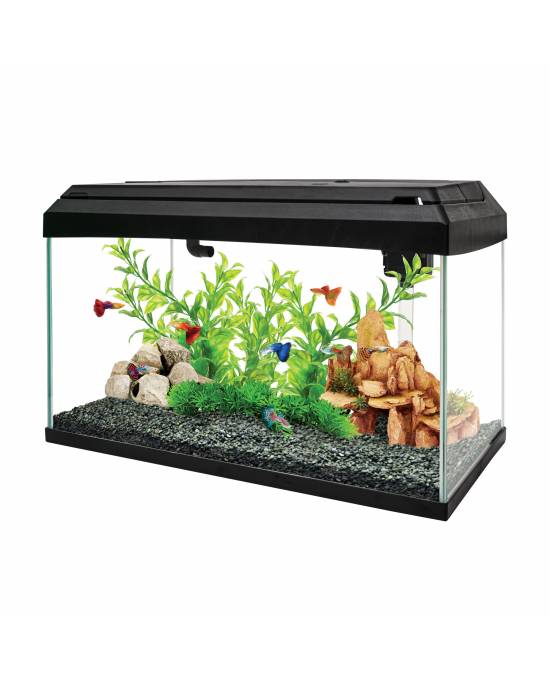 aa-basic-50-noir-aquarium-50-l-avec-eclairage-leds-et-filtration-dimensions-58-5-x-30-5-x-39-5-cm-1