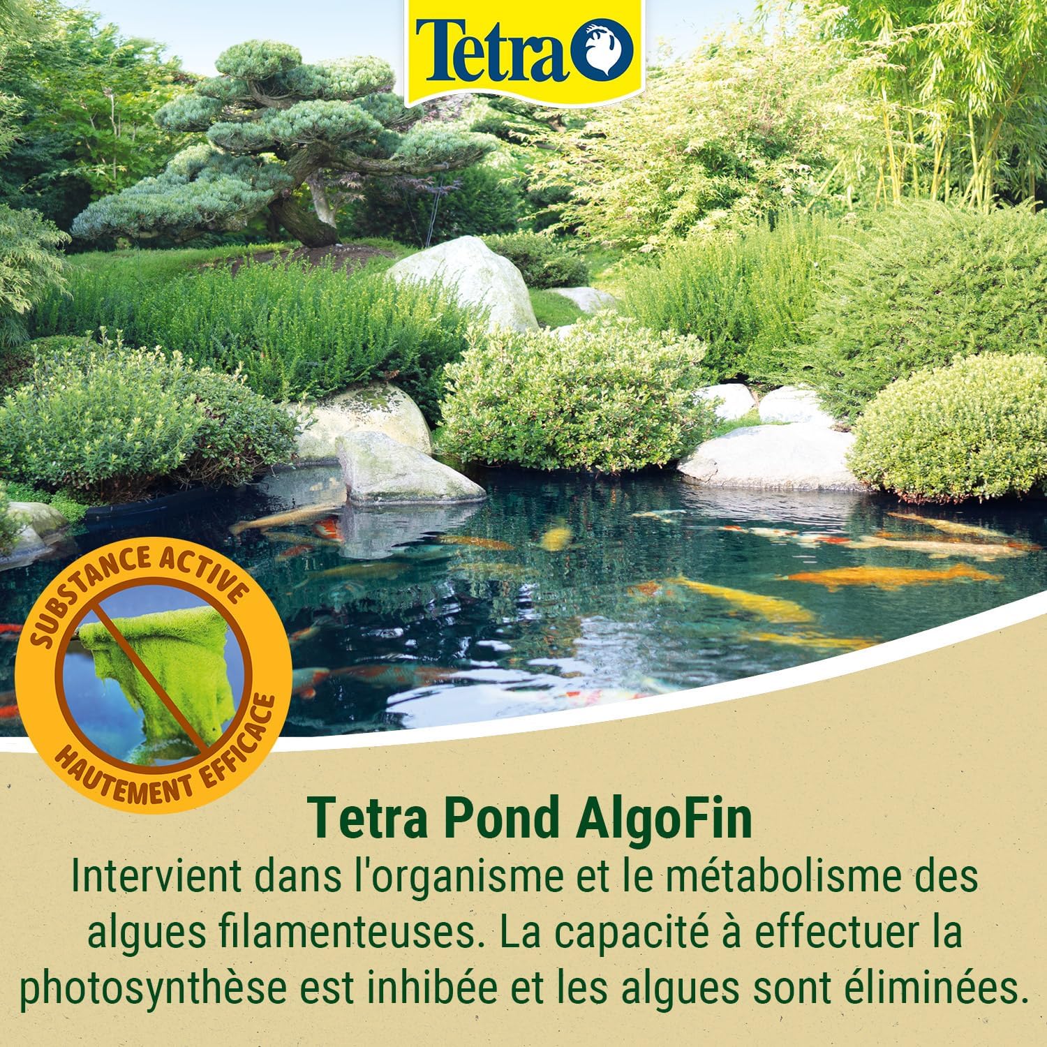 tetra-pond-algofin-detruit-les-algues-filamenteuses-et-autres-algues-courantes-en-bassin