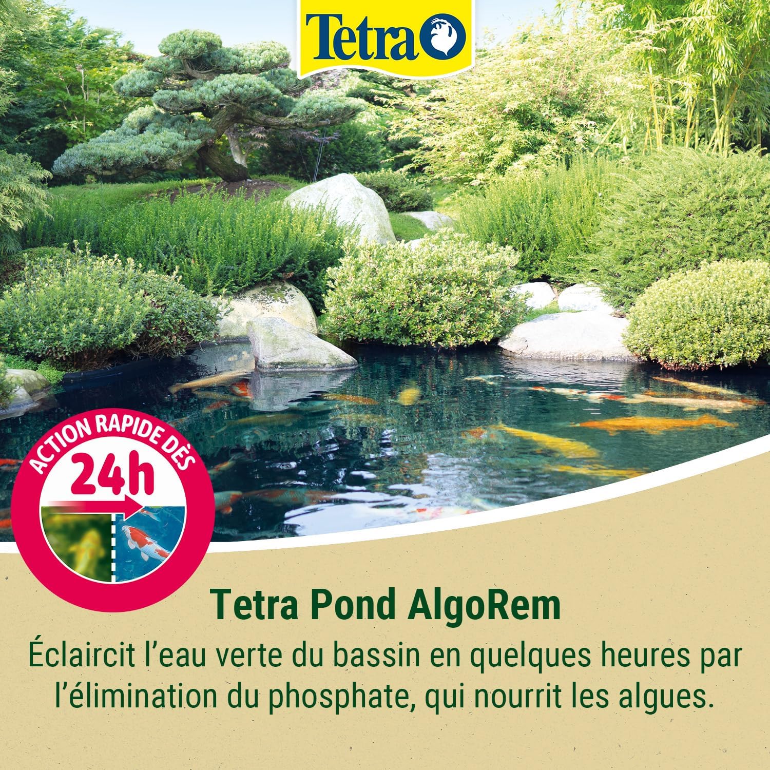 tetra-pond-algorem-detruit-les-algues-qui-rendent-l-eau-de-votre-bassin-verte