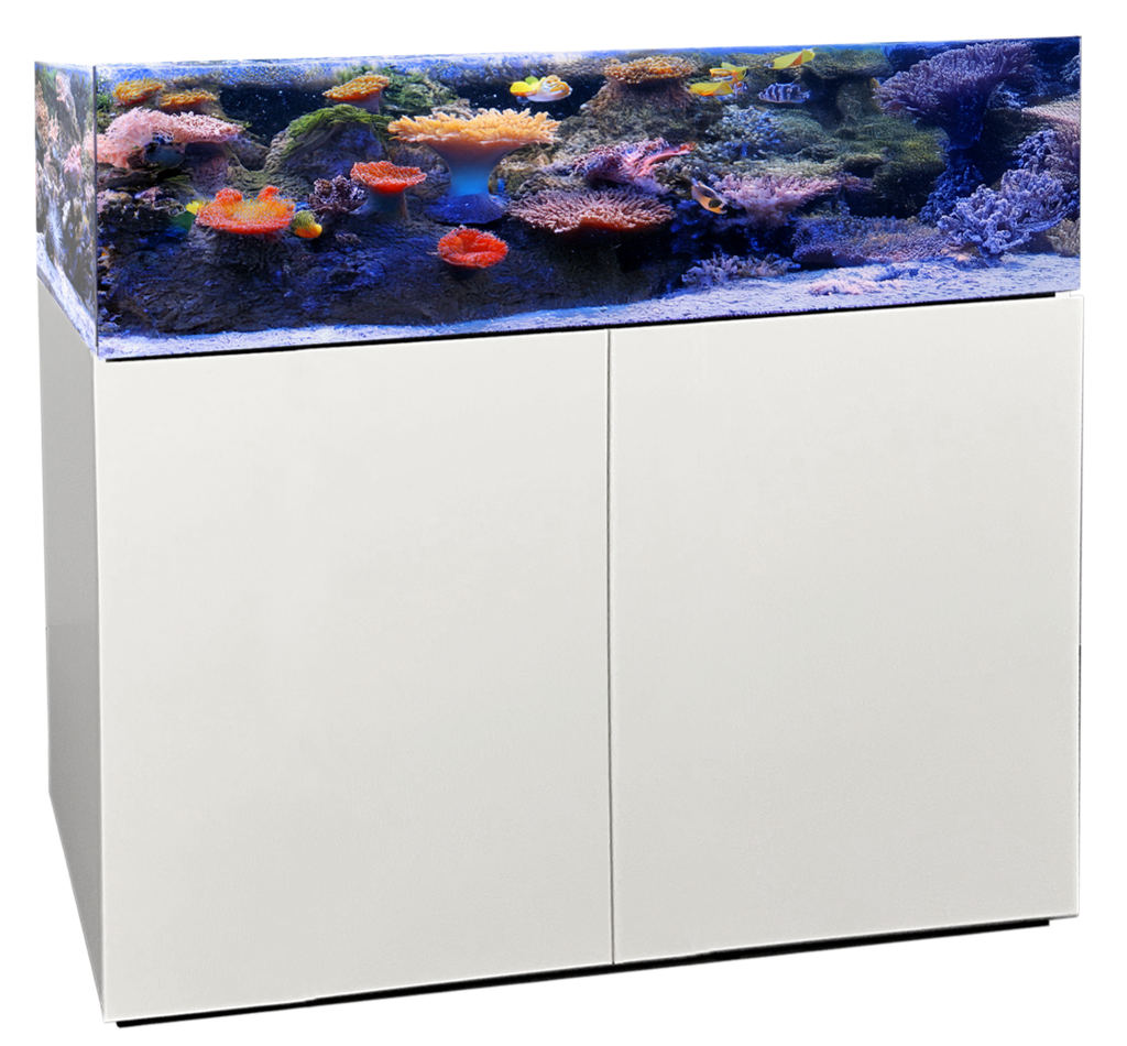 AQUA MEDIC Armatus Lagoon 300 kit Aquarium marin 100 cm 235 L avec décantation et meuble en structure Aluminium