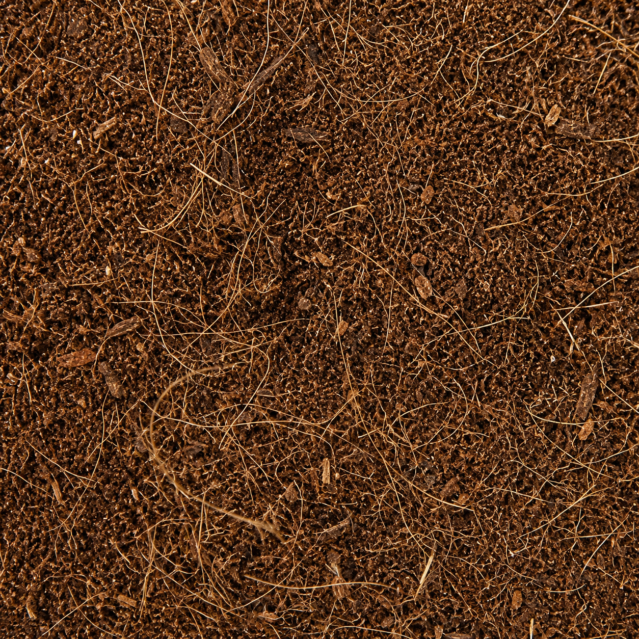 zoomed-eco-earth-loose-substrat-naturel-en-fibres-de-noix-de-coco-pour-terrarium